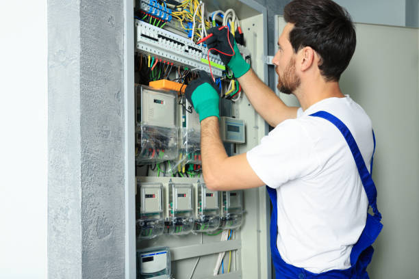 Best Affordable Electrician  in Zilwaukee, MI